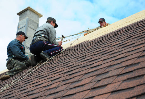 Quick and Trustworthy Emergency Roof Repair Services in Prosperity, SC